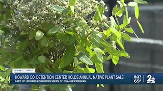 Howard Co. Detention Center holds annual native plant sale