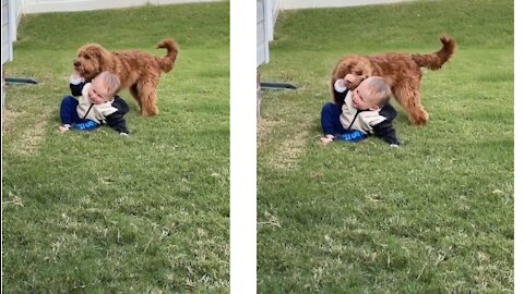 Little toddler playing with his doggy crucial moments