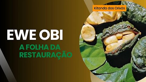 "Obi: Restauração da Alma e Alegria da Vida - Descubra o Poder Desta Folha Sagrada!"