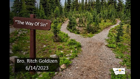 Bro. Ritch Goldizen - The Way Of Sin