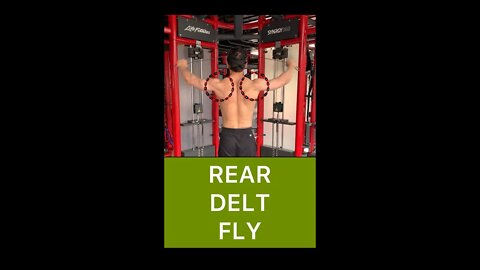 CRUCIFIX FLY | STANDING REAR DELT FLY | Shoulder Workout #shorts