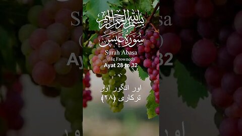 Surah Abasa in Urdu Translation Ayat28to32 #youtube#youtubeshorts#ytshorts#viral#shorts#quran#short