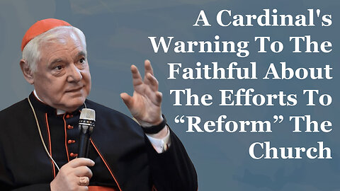 A Cardinal's Warning To The Faithful About The Efforts To "Reform" The Church