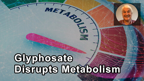 Glyphosate Disrupts Metabolism - Stephanie Seneff, PhD - Interview