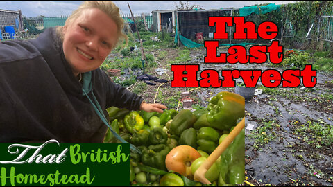 FINAL Summer HARVEST: Clearing the Allotment Garden