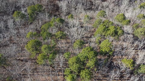 drone footage over mark Twain National Forest