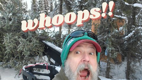 Episode 65\ Felling trees in winter