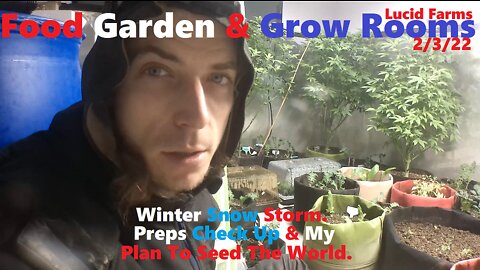 Winter Snow Storm. Preps Check Up & My Plan To Seed The World. 2/3/22 Food Garden & Grow Rooms.