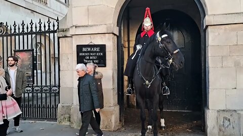 Don't touch the Reins he pulls them away #horseguardsparade