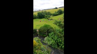 Nice view from burnbrea holiday cottages