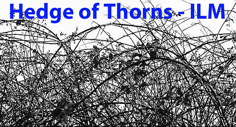 Hedge of Thorns - ILM