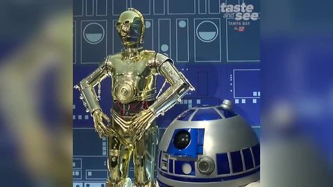 Star Wars costume exhibit at MFA St. Pete is out of this universe | Taste and See Tampa Bay