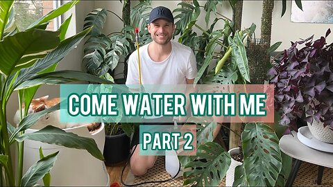 MY WATERING ROUTINE - Part 2