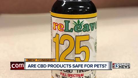 CBD products becoming increasingly popular for pets