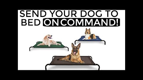 How to train your dog to go to bed ON COMMAND! | Easiest way!