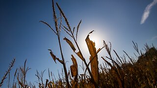 Nebraska Supreme Court Approves Keystone XL Pipeline Route