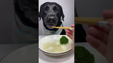 Mom, It's Time to Remove Broccoli from the Menu! 🥦🐶