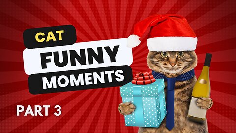 CAT FUNNY MOMENTS | PART 3