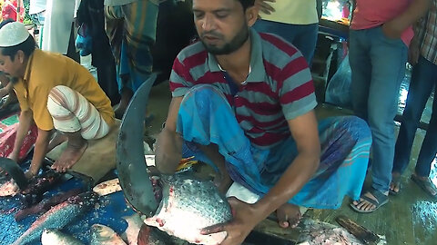 Catla Carp Fish Cutting Skills In Fish Cutting Market-Catla Carp Fish Cutting Video-Fish Wall BD