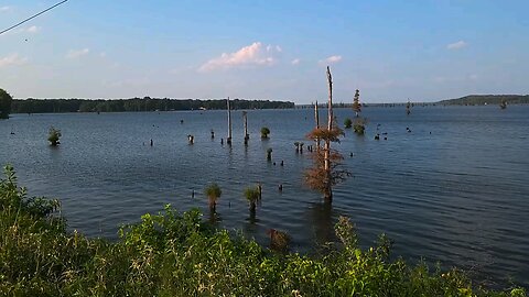 Day 3 Of Draining Lake Conway