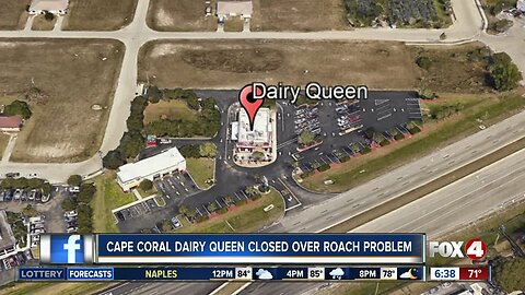 Live roaches found at Cape Coral Dairy Queen