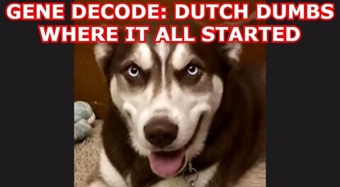 GENE DECODE: DUTCH DUMBS WHERE IT ALL STARTED