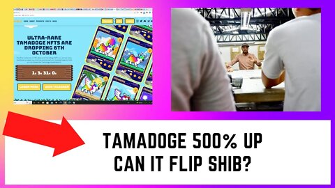 Tamadoge $TAMA Did 500% Rise In The Last 7 Days. What Is Happening? Tamadogecoin NFTs When?