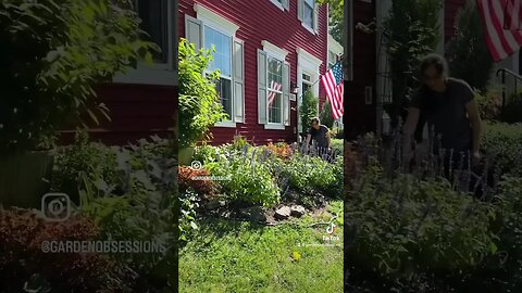 #flower #gardeninglovers #gardeninginspiration #garden #smallgardenideas #pollinatorgarden #red