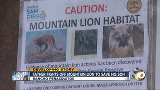 Father fights off mountain lion to save his son