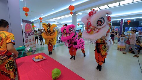 Lion Dance Chinese New Year Southlands Boulevarde TS Bakery Perth Australia