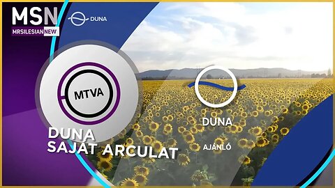 MTVA arculati elemek - DUNA arculat (saját fikció)