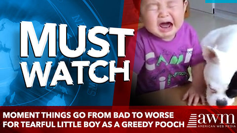 Moment things go from bad to worse for tearful little boy as a greedy pooch