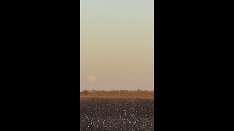 Full moon at sunset 14 minutes