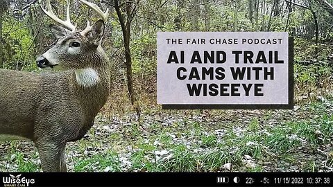 AI and Trail Cams with WiseEye