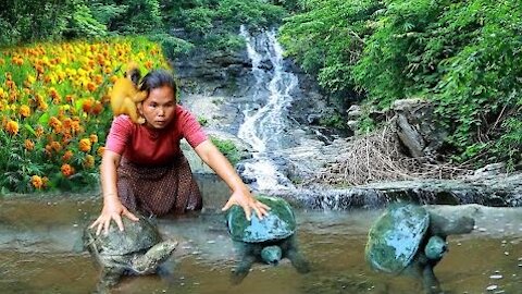 woman found 5 softshell turtles & vegetables for cook-Eating delicious HD