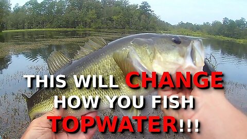 STOP Fishing Topwater In The MORNING!!! THIS Is The BEST Time!!!