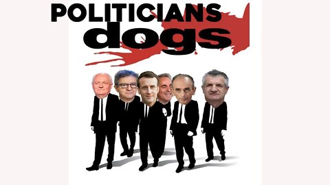 POLITICIANS DOGS, ils préparent le plus gros casse du Siècle en France. #parodie #élections2022