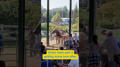 Horse Pull, Windsor Fair, Maine, 2023 GreenTeam Part 3