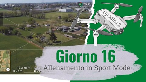 Dji Mini 2 - Allenamento in Sport Mode - Ecco cosa vedo