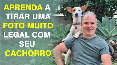 Como tirar um foto incrível com seu cachorro