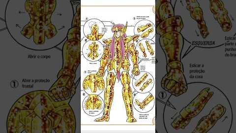 Os Cavaleiros Do Zodíaco - Armadura De Aquário - Camus [Pause o Vídeo Caso Não Consiga Ler]