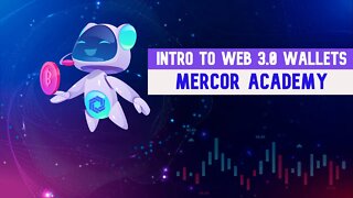 Mercor Academy Tutorial - Introduction to Web 3.0 Wallets | Investor's Tutorials