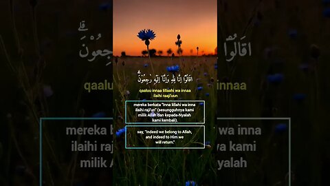 Surah Al-BaQarah Ayat 156 . #alquran #quran #murottal