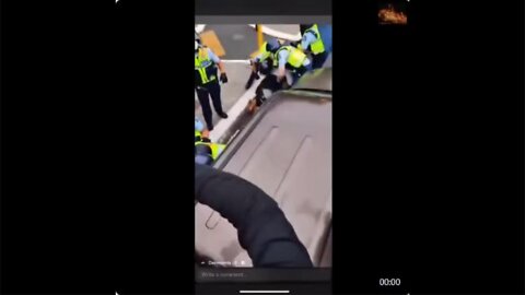 NZ Police Beat DOwned Protester