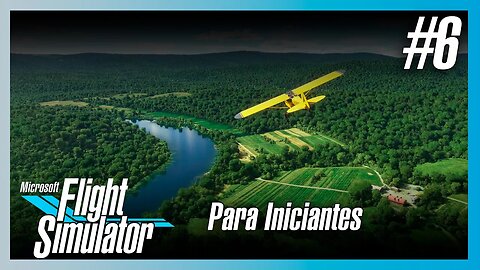 MICROSOFT FLIGHT SIMULATOR PARA INICIANTES #6