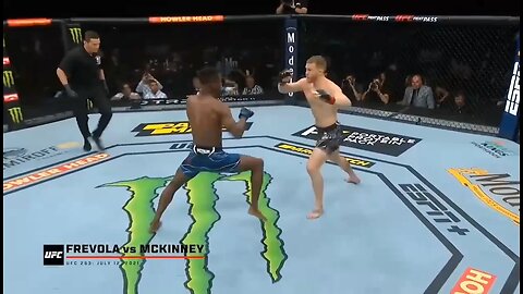 The brutal knockout in UFC