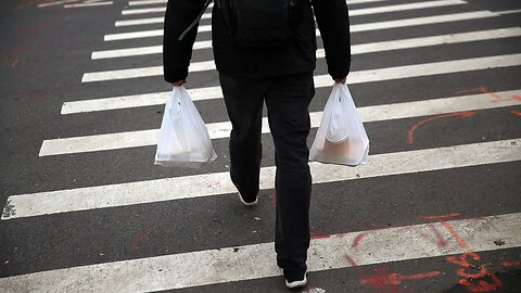 German Environment Minister Calls For Ban On Plastic Bags