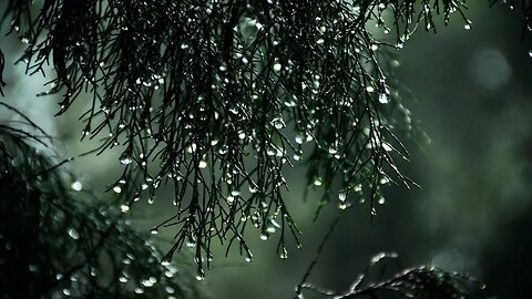 Falling Asleep in Seconds: The Magic of Rain and Light Thunder 🌧️💤"