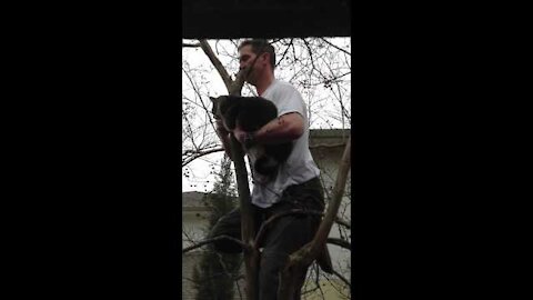 Daring Cat Rescue