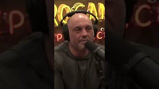 Joe Rogan Finds Out About Brett Favre Scandal